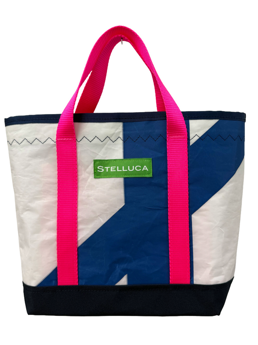 Hot Pink & Blue Mini Tote